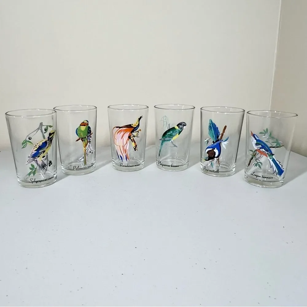 VTG 60’s Kig Malaysia Exotic Tropical Bird Glasses Set of 6